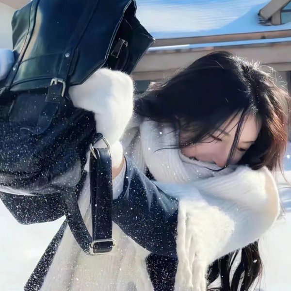 傲气雄鹰